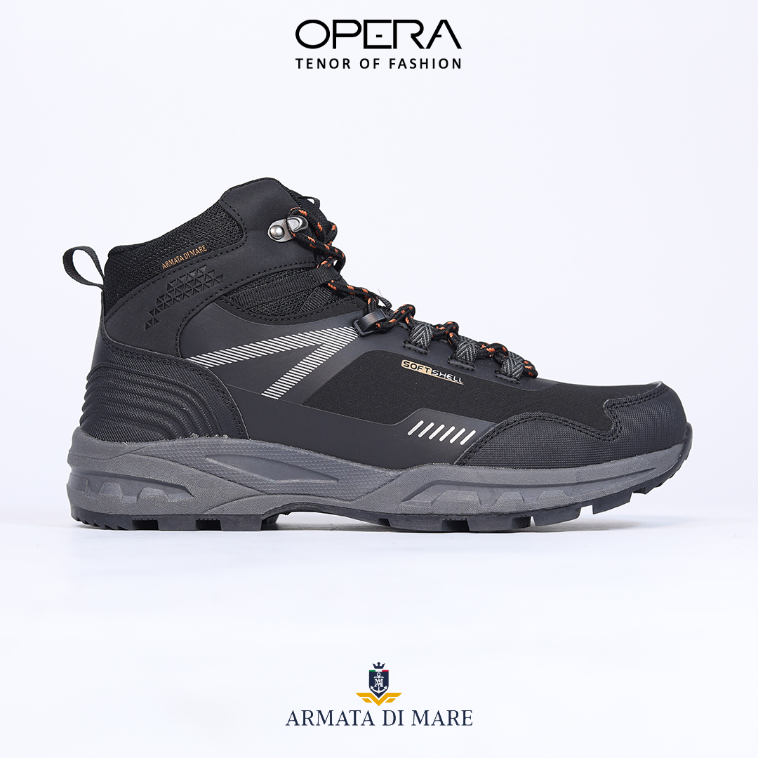 Hiking shoes 