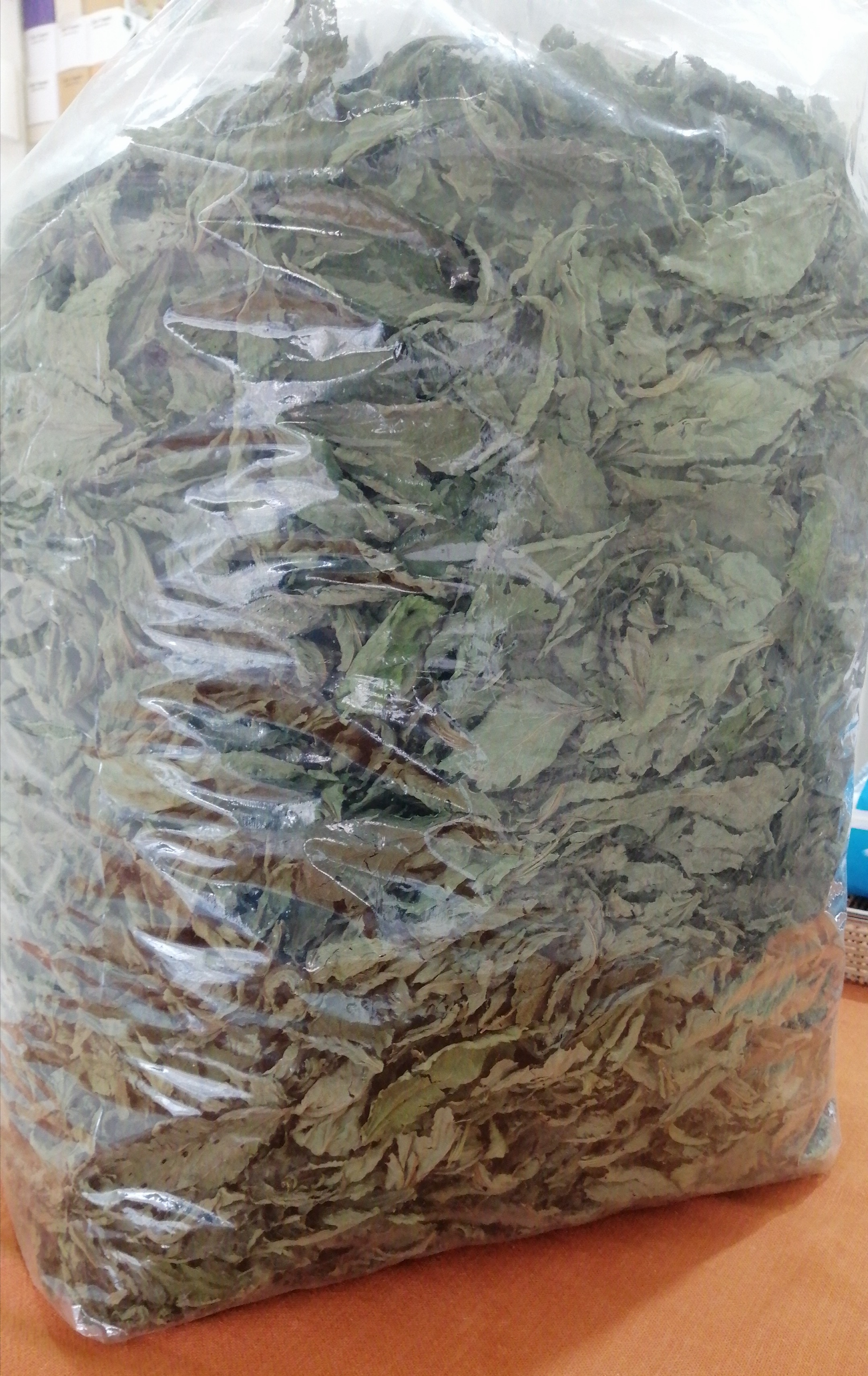 Dried mint