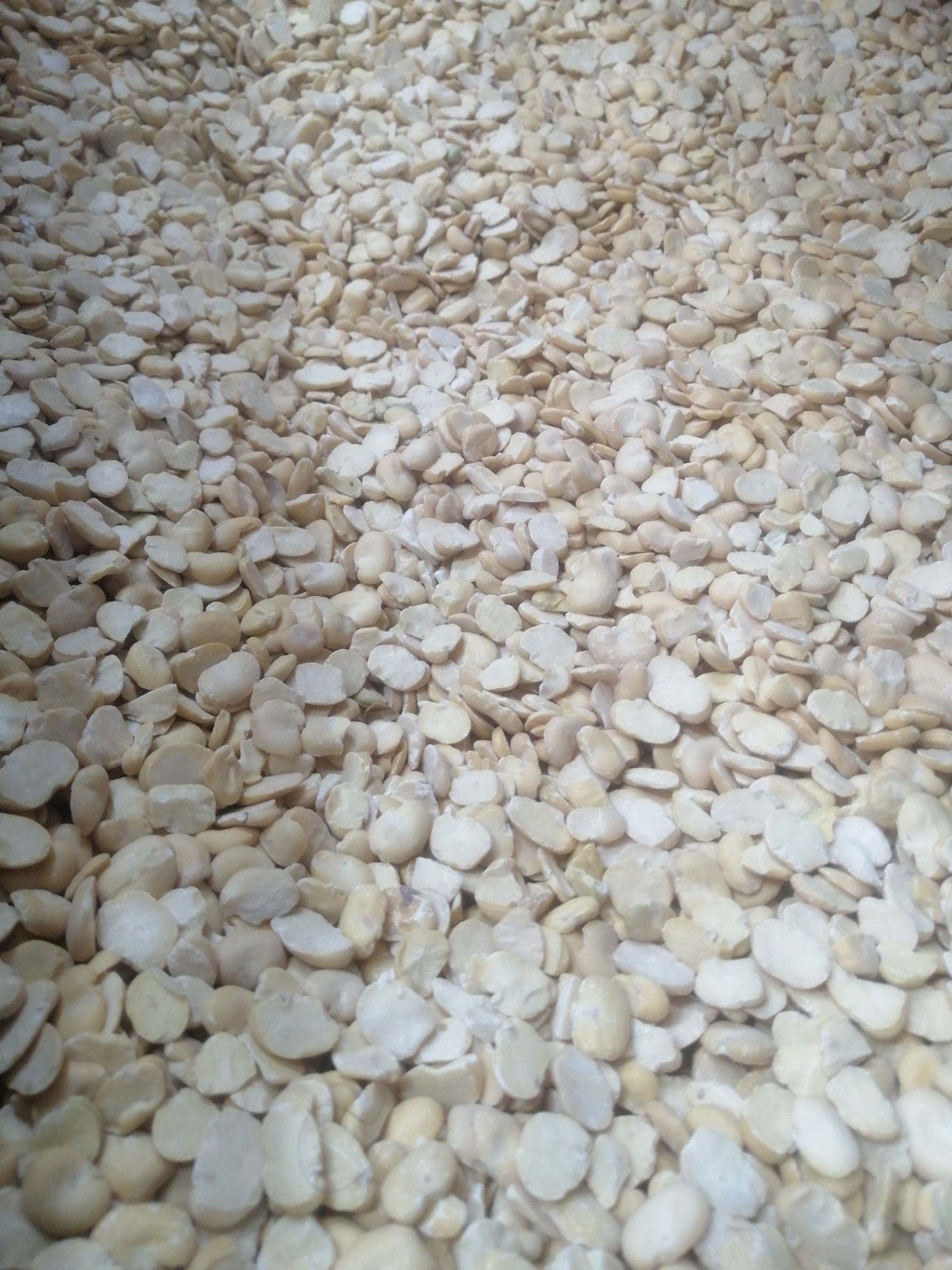 Crushed beans 