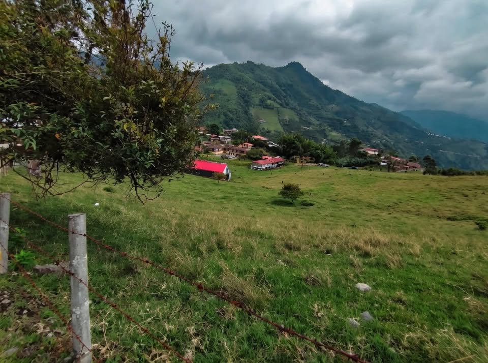 Lote cerca al centro de Manizales alta valorizacion