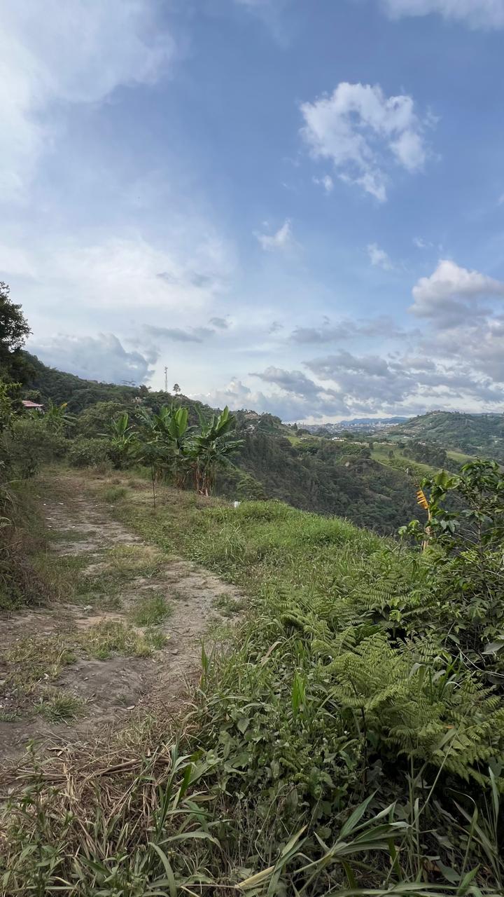 LOTE EN VENTA – VEREDA JAVA MANIZALES
