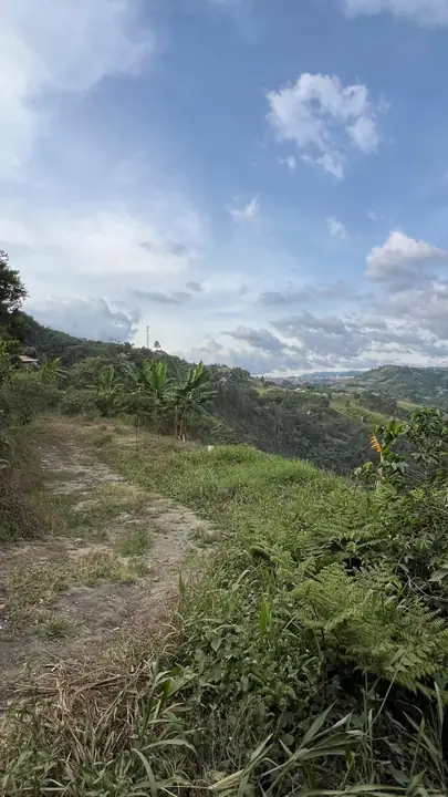Lote en venta vereda La Java en Manizales, Caldas – 3.750 m²