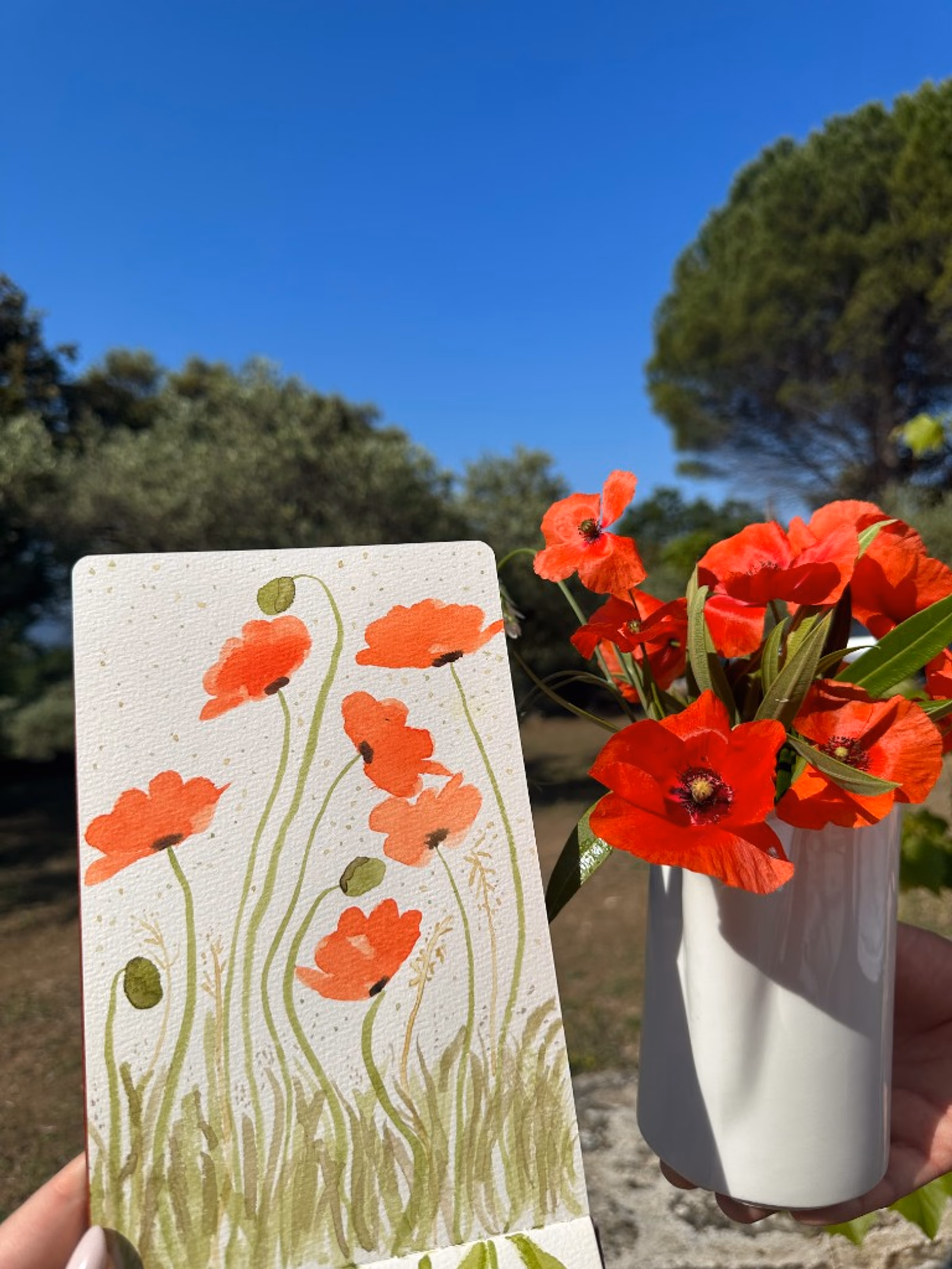 Watercolor poppies held beside a vase of fresh poppies under a Provençal blue sky