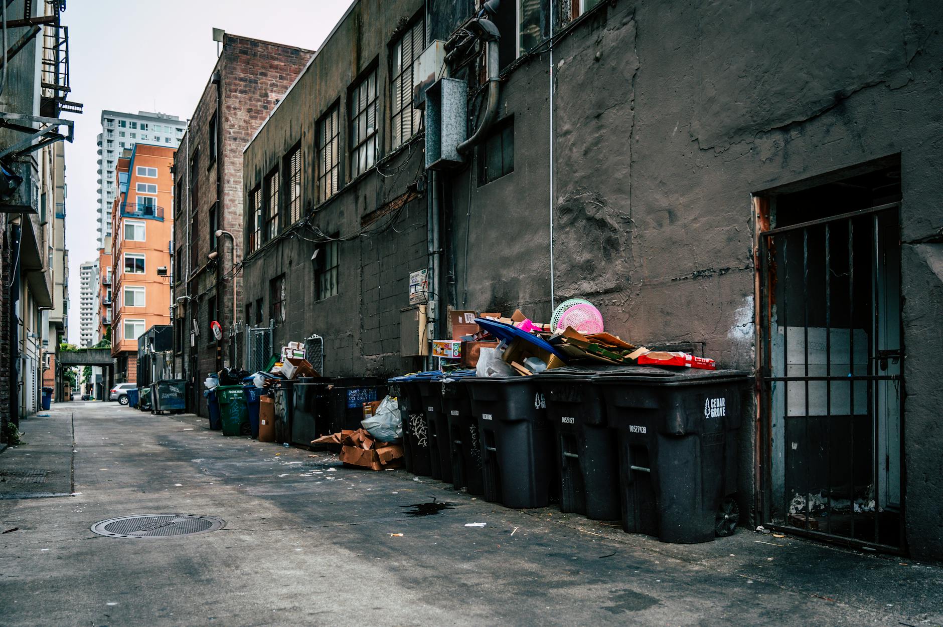 Food Waste, Rodents, and Sanitation