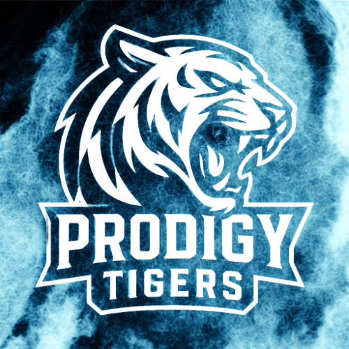 Prodigy Tigers Youth Sports Inc.