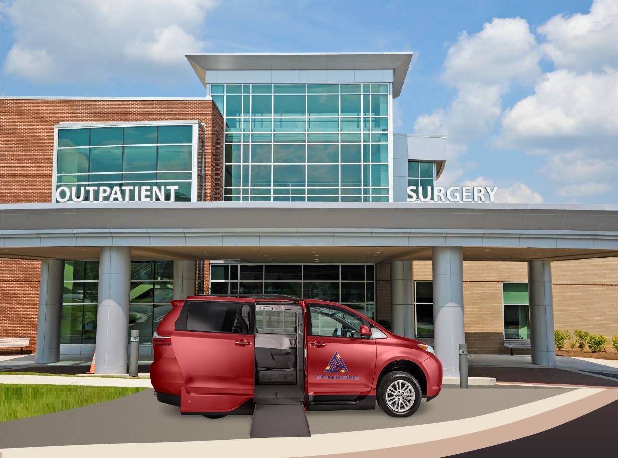 Tri-tone Management Services Llc