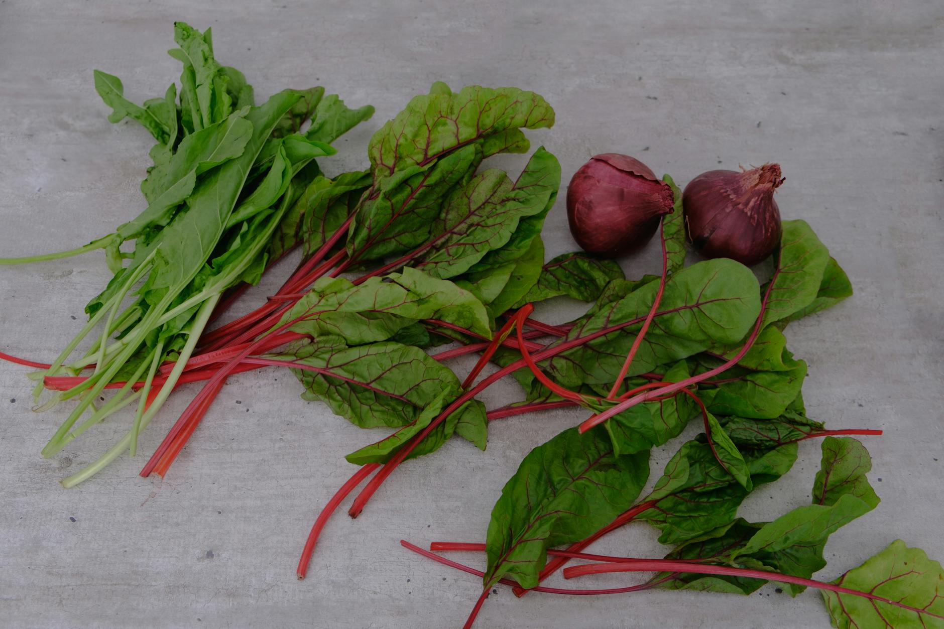 Pure Ingredients Farm, Llc