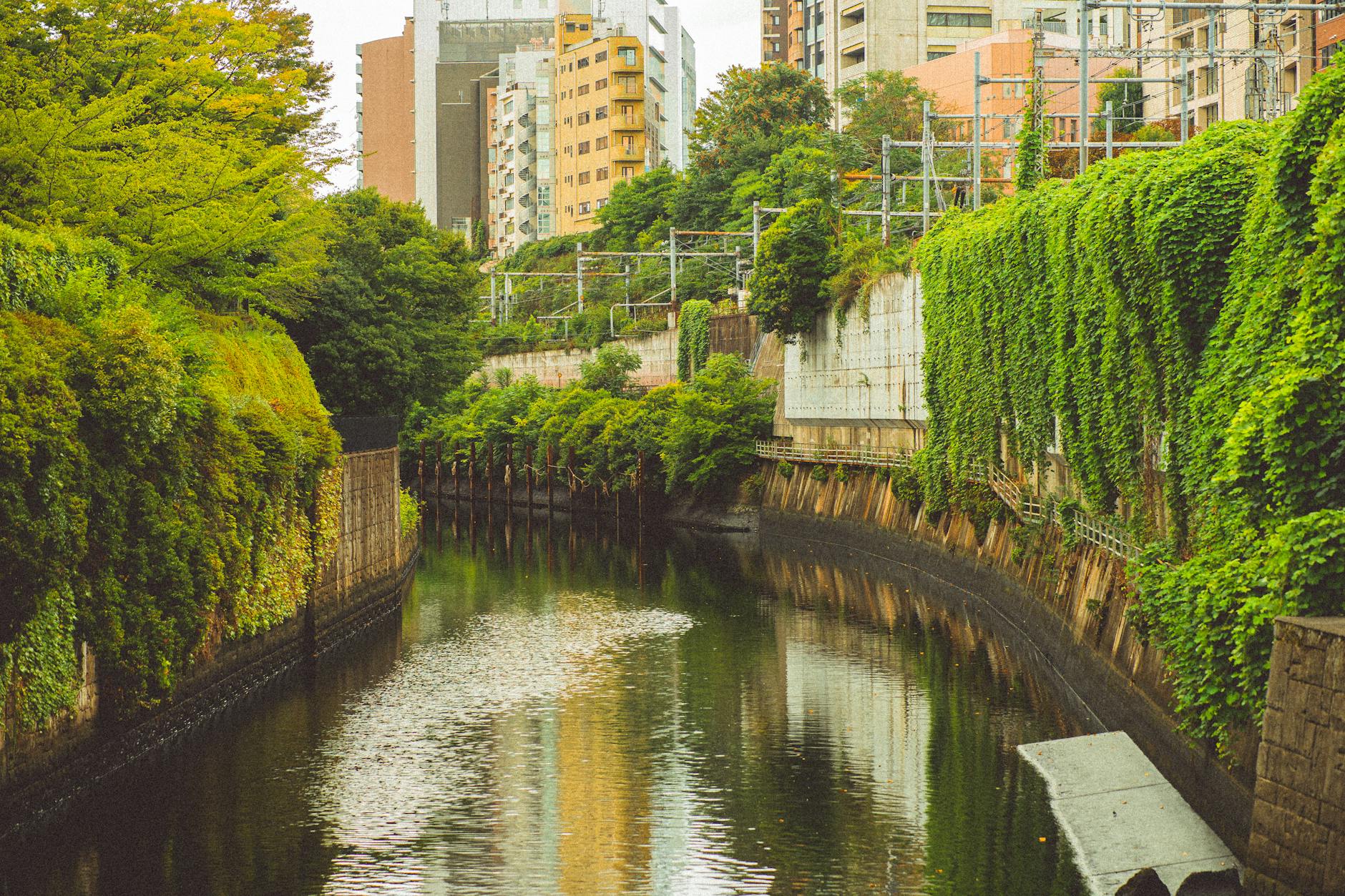 Hilary's Urbaneden Inc