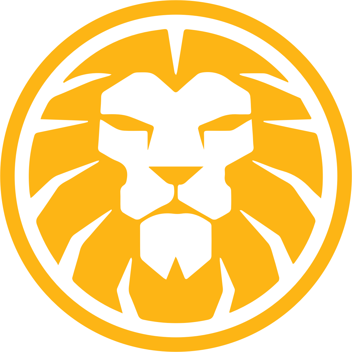 Lion Share Unlimited