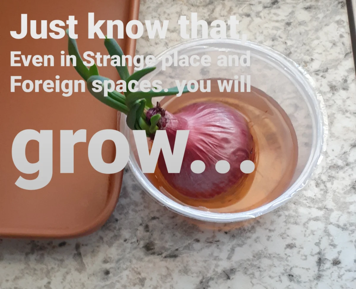 Growing keeps you excelling and relevant, while Grown stops you and will eventually bring you to undesired end.
