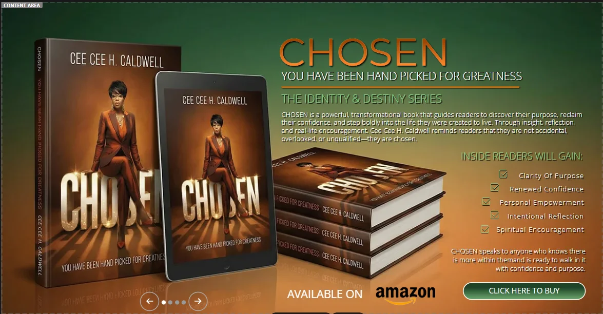 Conception — How Your Book Is Formed in the Mind, Spirit, and Life Experiences