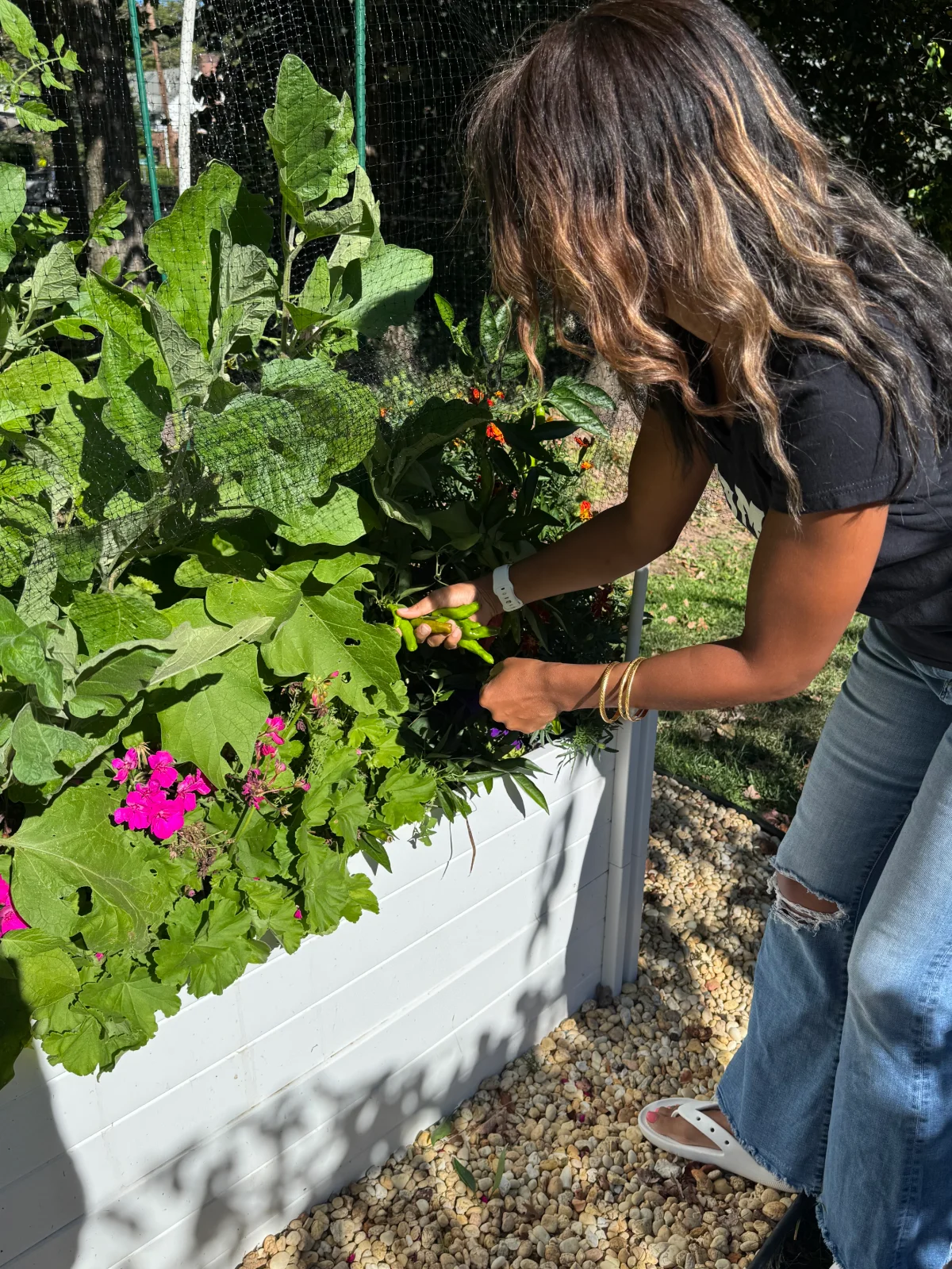 Flashlights and False Springs: Cultivating Patience for Lasting Growth