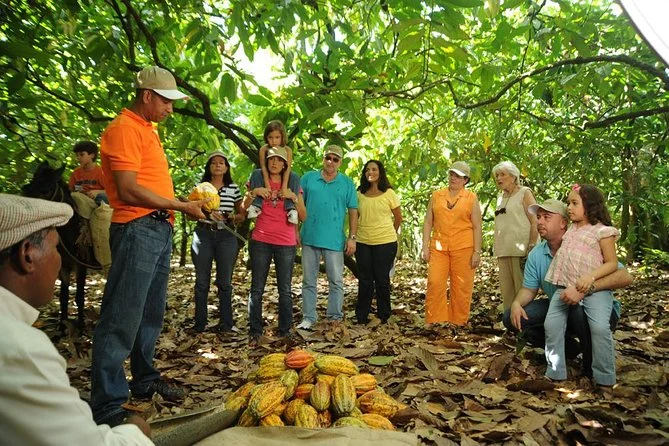 Discover the Benefits of Pure Cacao — And Why Supporting Sustainable Cocoa Matters
