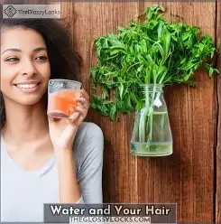 How Nutrition and Professional Care Transform Your Hair: Insights from C'Elegance Hair Designs