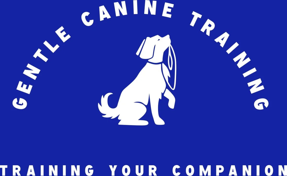 The Importance of Training Your Dog and Why Balanced Training Works