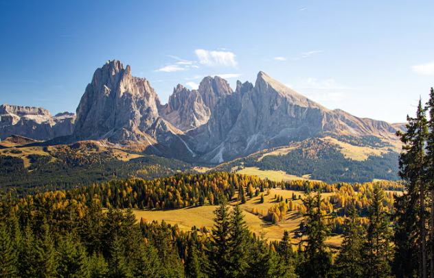 The Best 12 Cafés to Visit in Buenos Aires: A Professional's Guide