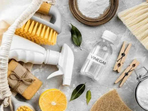 Detox Your Home: How L.E.M. Elite Maintenance, LLC Can Help You Fumigate for a Healthier Space