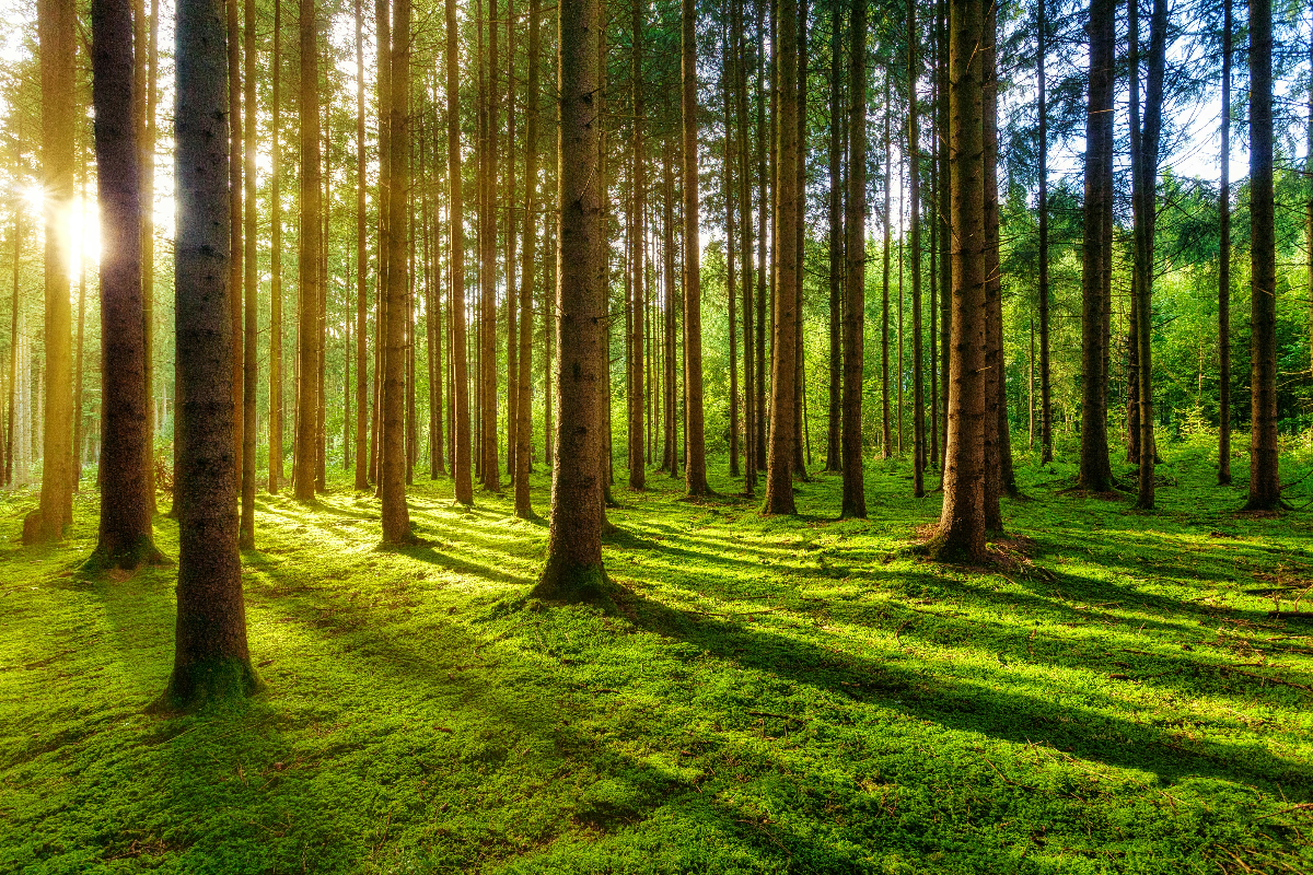 Earth Day 2026: Our Power. Our Planet. Creating Change, One Choice at a Time