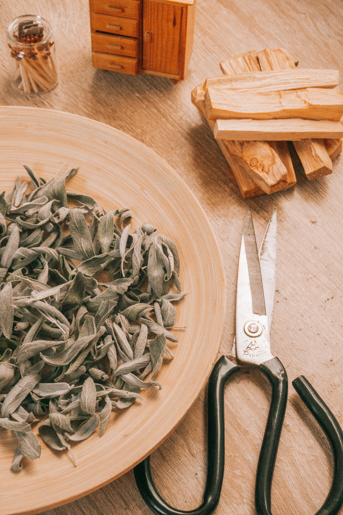Why Herbalism Is More Important Than Ever in a World of Western Medicine