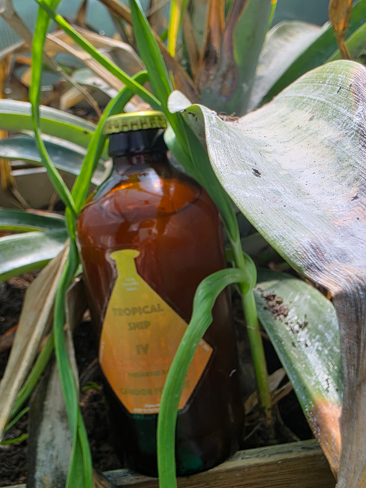 Candor Foment: Sourcing Flavor and Integrity from the Region
