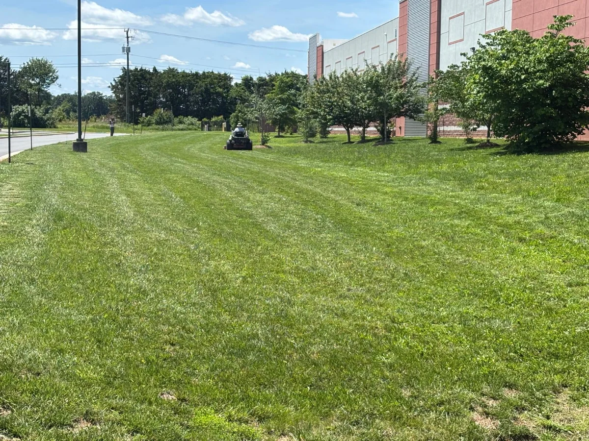 Unlocking the Benefits of Spring Clean Up for Businesses: Enhance Your Loudoun County Landscape