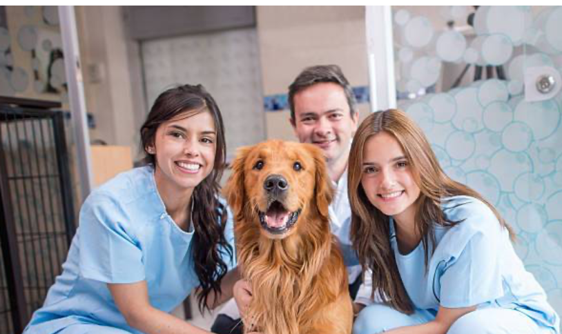 Why Veterinary Practices Are Exploring Alternatives to Traditional Platforms — And Why Many Are Choosing Careflow Animal Health