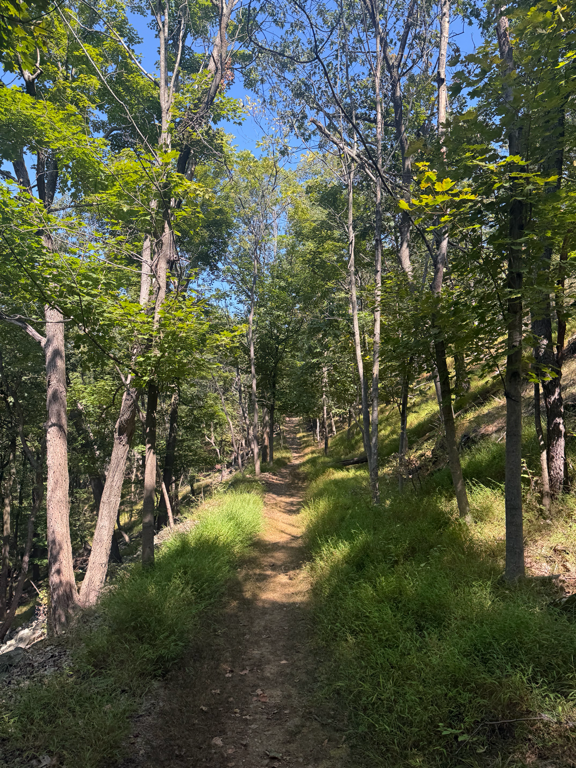 Spring & Summer Hiking Tips: Stay Safe + Tick-Free on the Trails