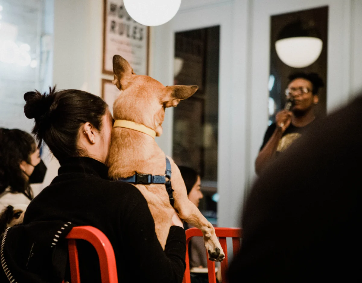 Howl With Laughter at This Dog-Friendly Comedy Event!