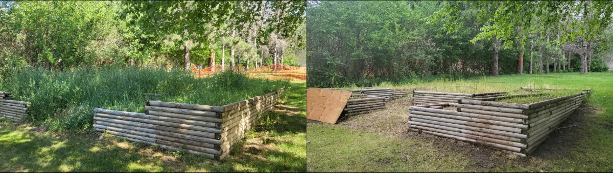 Spring Clean Up: Restoring Neglected Riparian Areas and Fence Lines