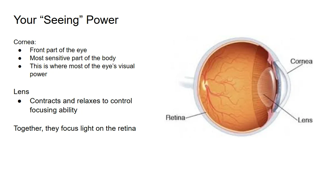 Eye-Saving Habits Everyone Should Adopt: Simple Steps for Lifelong Vision Health