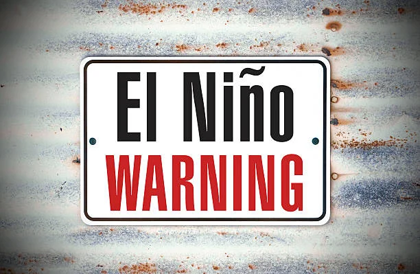 Understanding El Niño: Impact on Trees and Landscaping in Florida