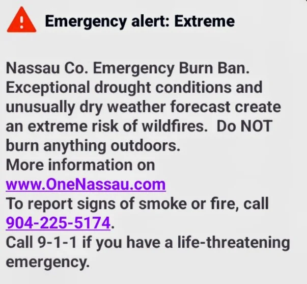 Wildfires, Burn Bans, and the Crucial Role of Tree Thinning: Keeping Amelia Island Safe and Healthy