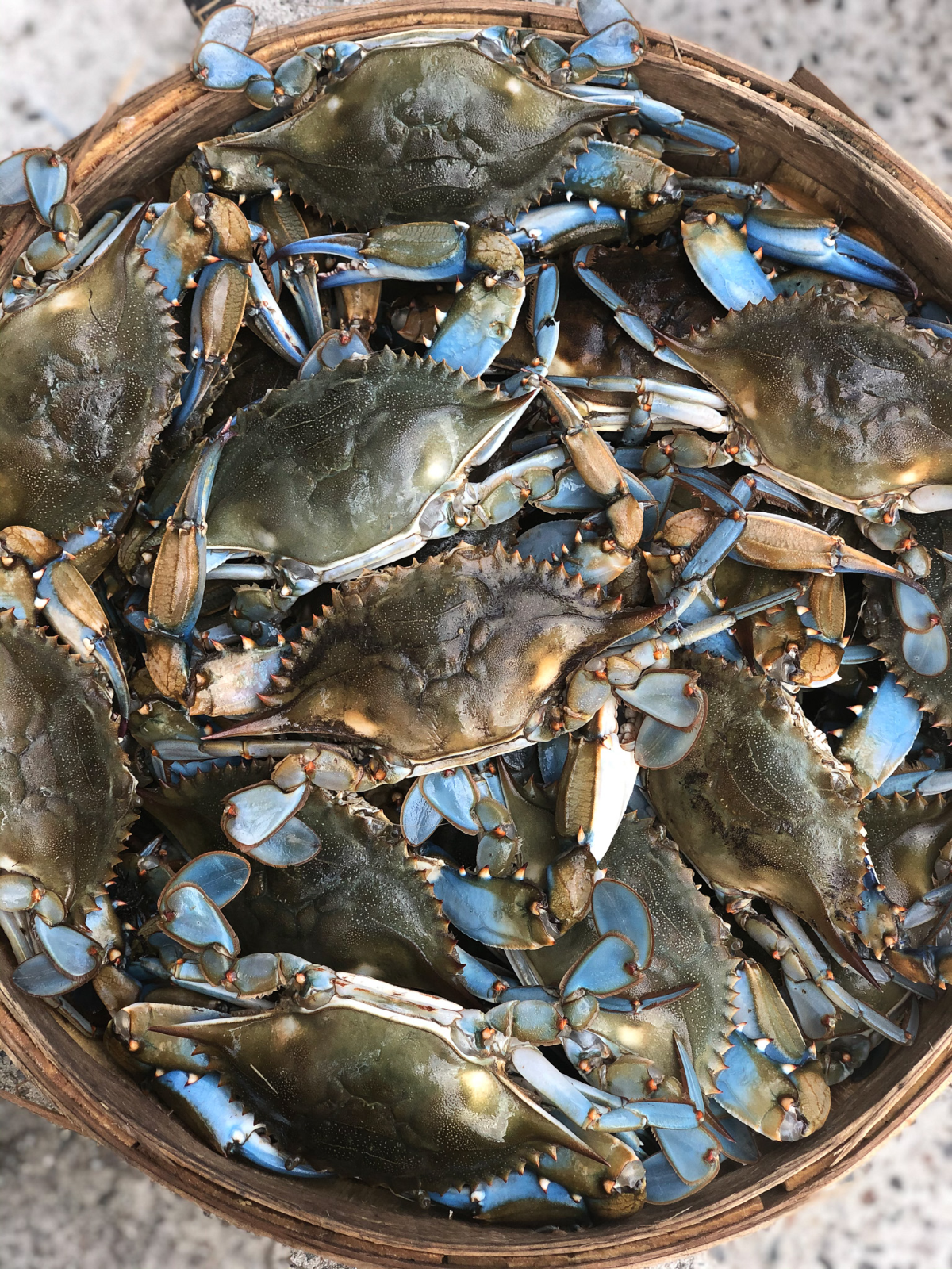 Blue Crabs & Black Americans: A Deep Dive into a Shared Culinary Legacy
