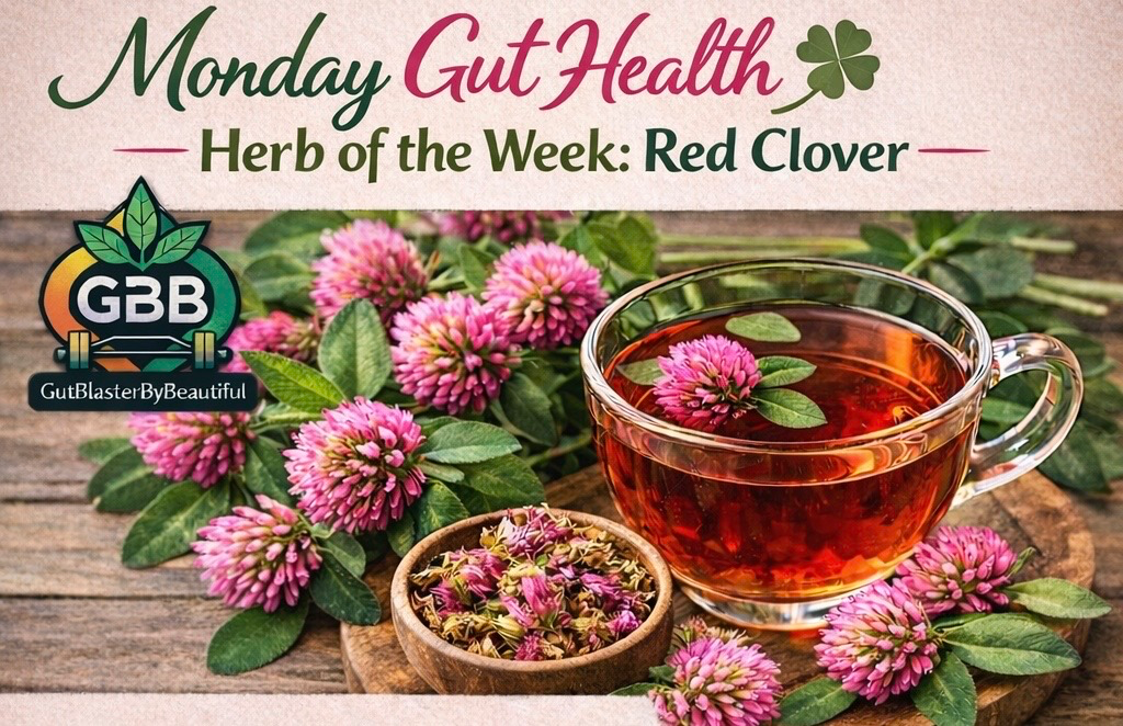 🌿 Monday Gut Health Reset