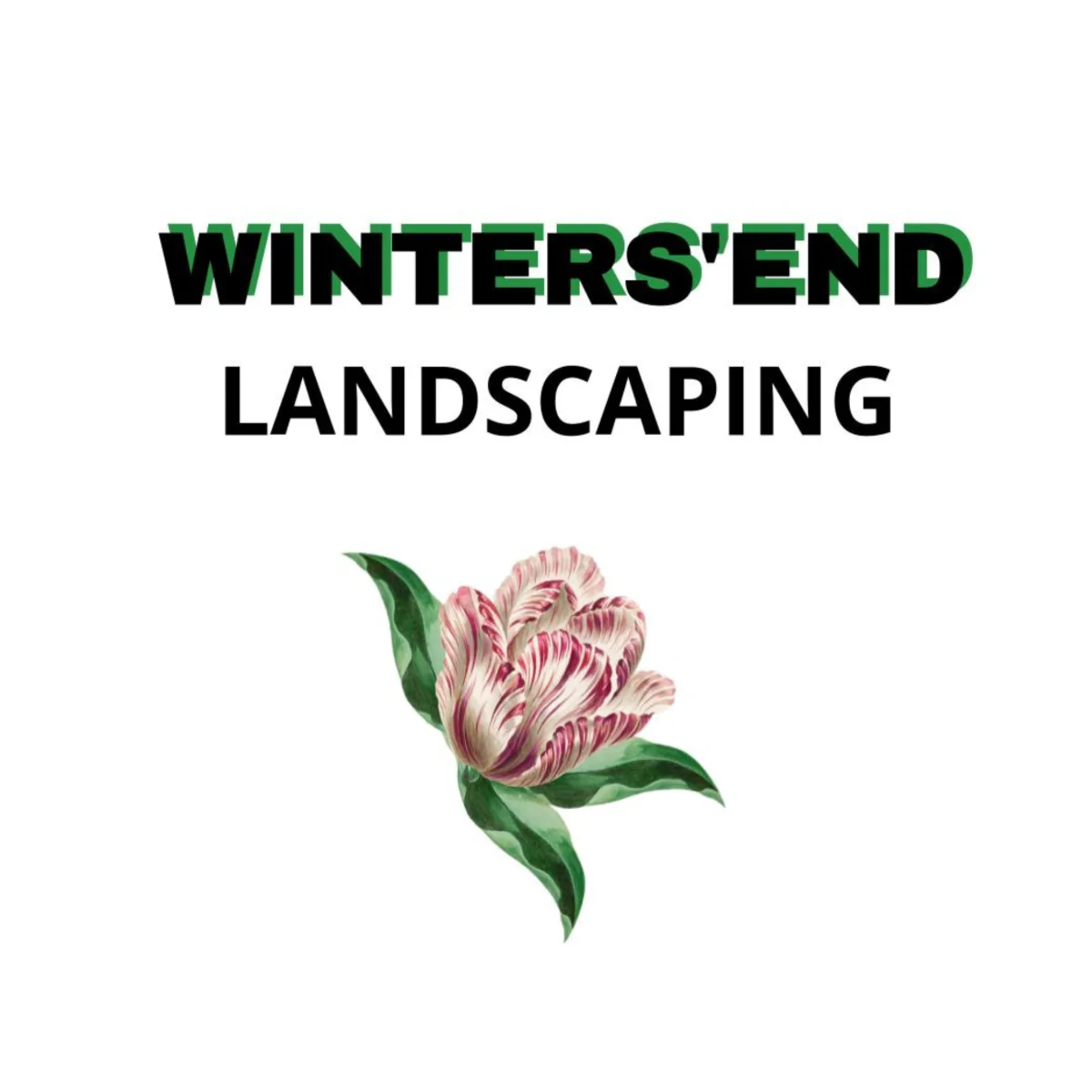 Why I Started Winters' End: Building a Legacy in Landscaping
