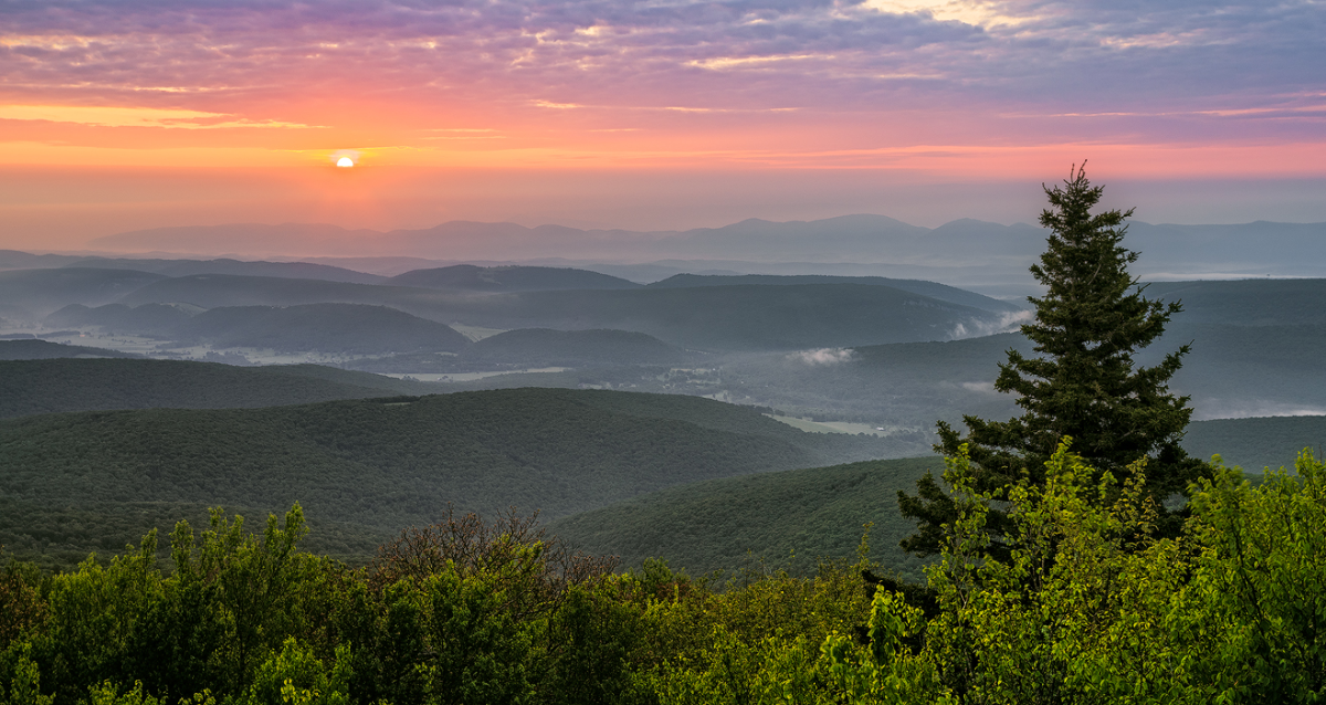 What It Means to Be Appalachian: Embracing Roots, Telling New Stories