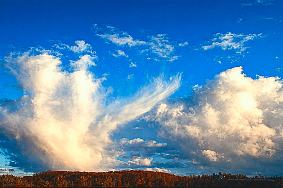 Weathering the Storm: How National Challenges Are Shaping Costs and Business Planning for Small Firms