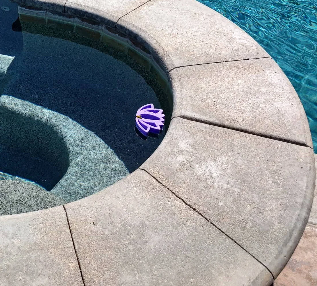 How to Keep Bees Safe Around Backyard Water Features This Spring 🐝💧