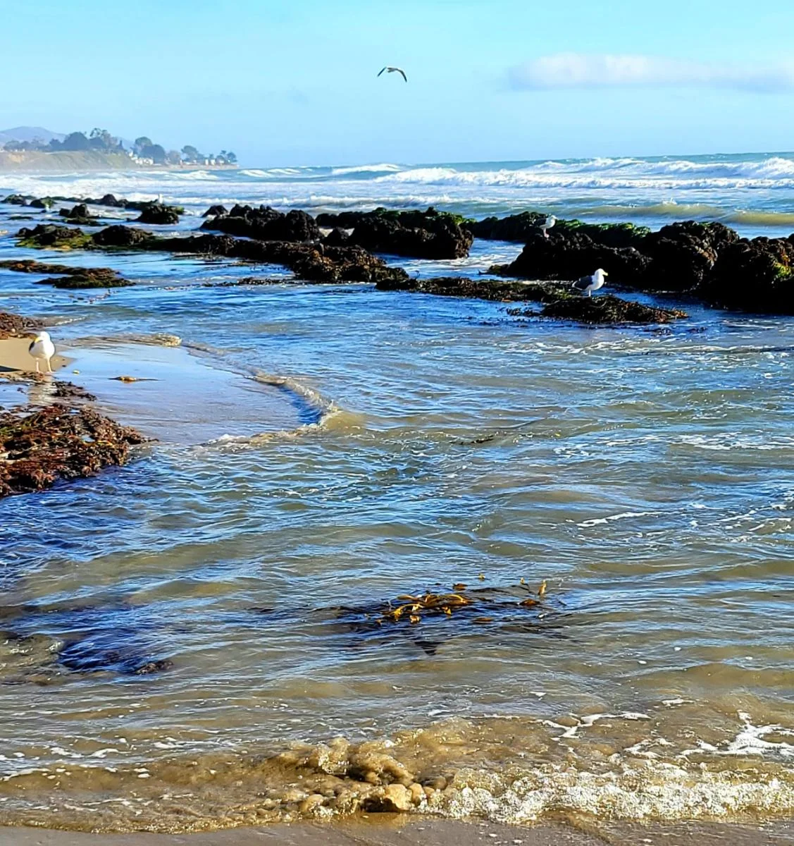 Tax Extension Granted—Now What? How to Catch Up on Bookkeeping and Prepare for Your Business Tax Return