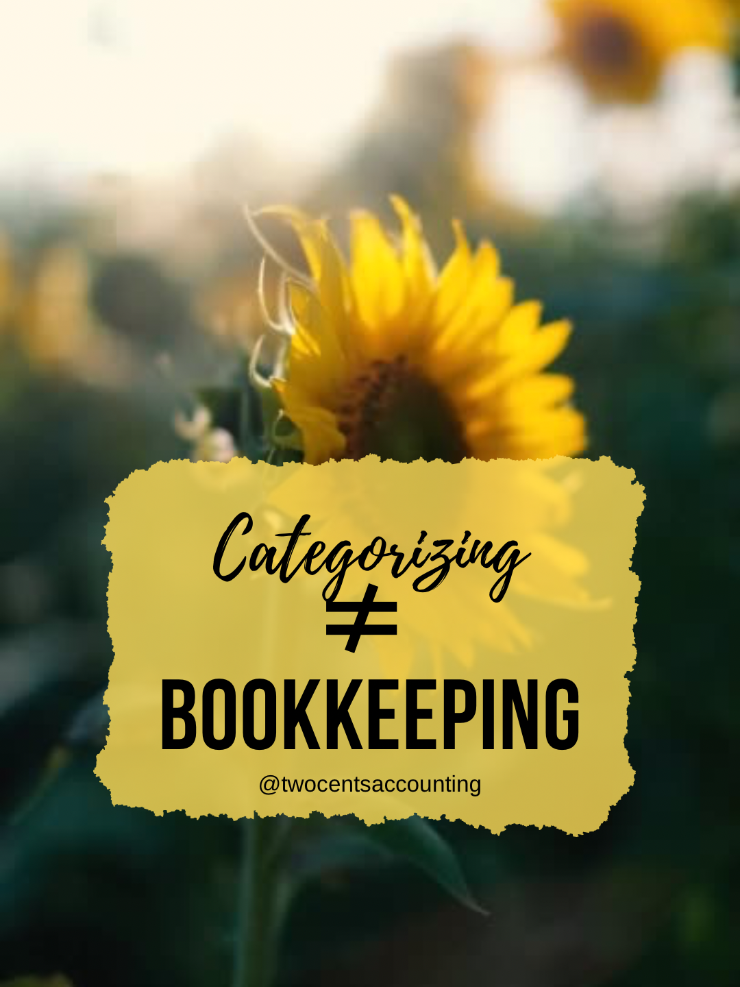 Why Categorizing Expenses Isn't Bookkeeping (And What Real Bookkeeping Looks Like)