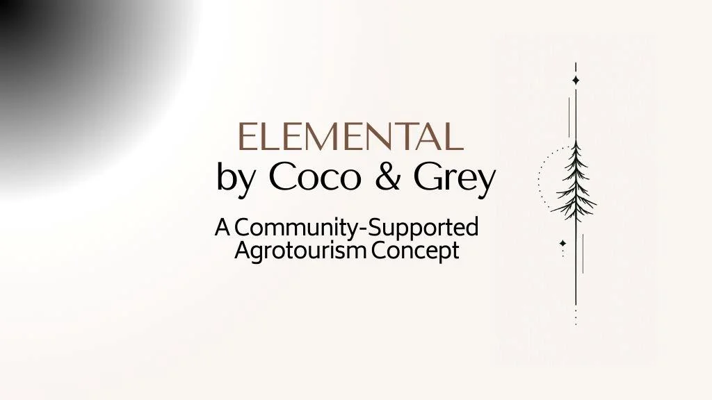 ELEMENTAL by Coco & Grey: Redefining Equestrian Hospitality Near Tryon
