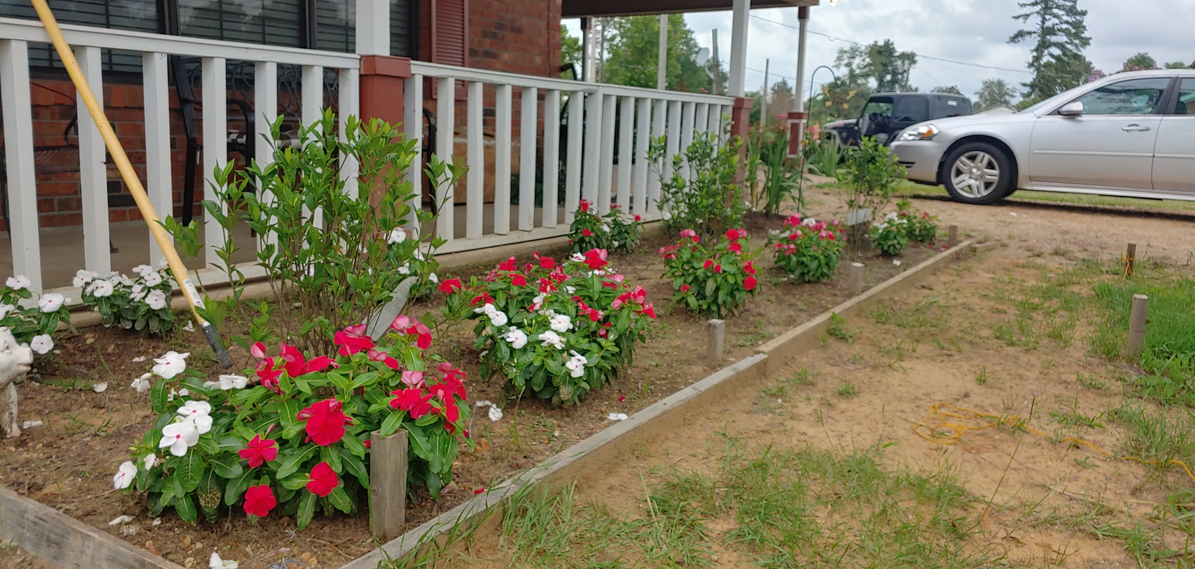 Lisa's House Cleaning & Yard Service