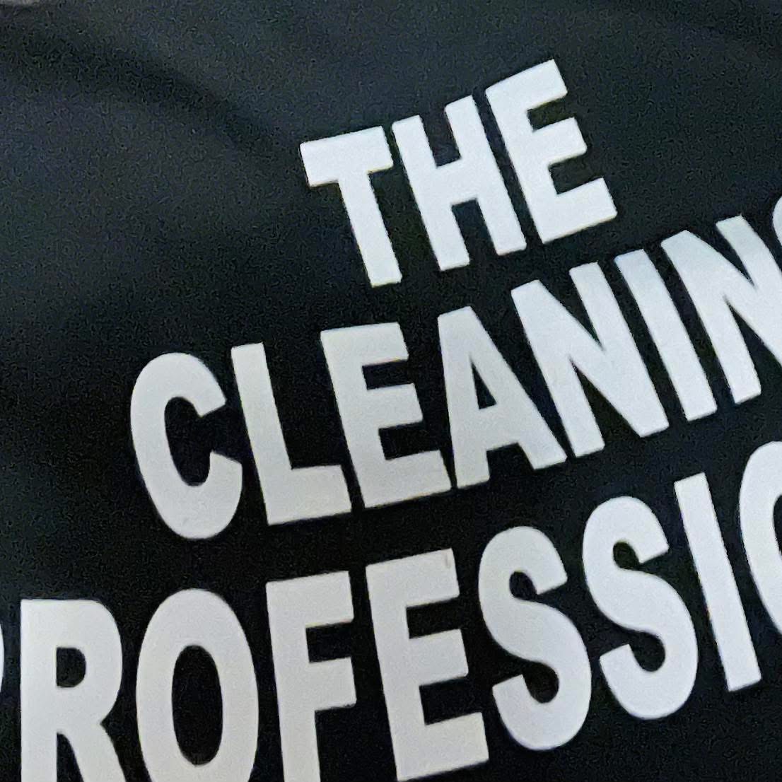 Thecleaningprofessionals