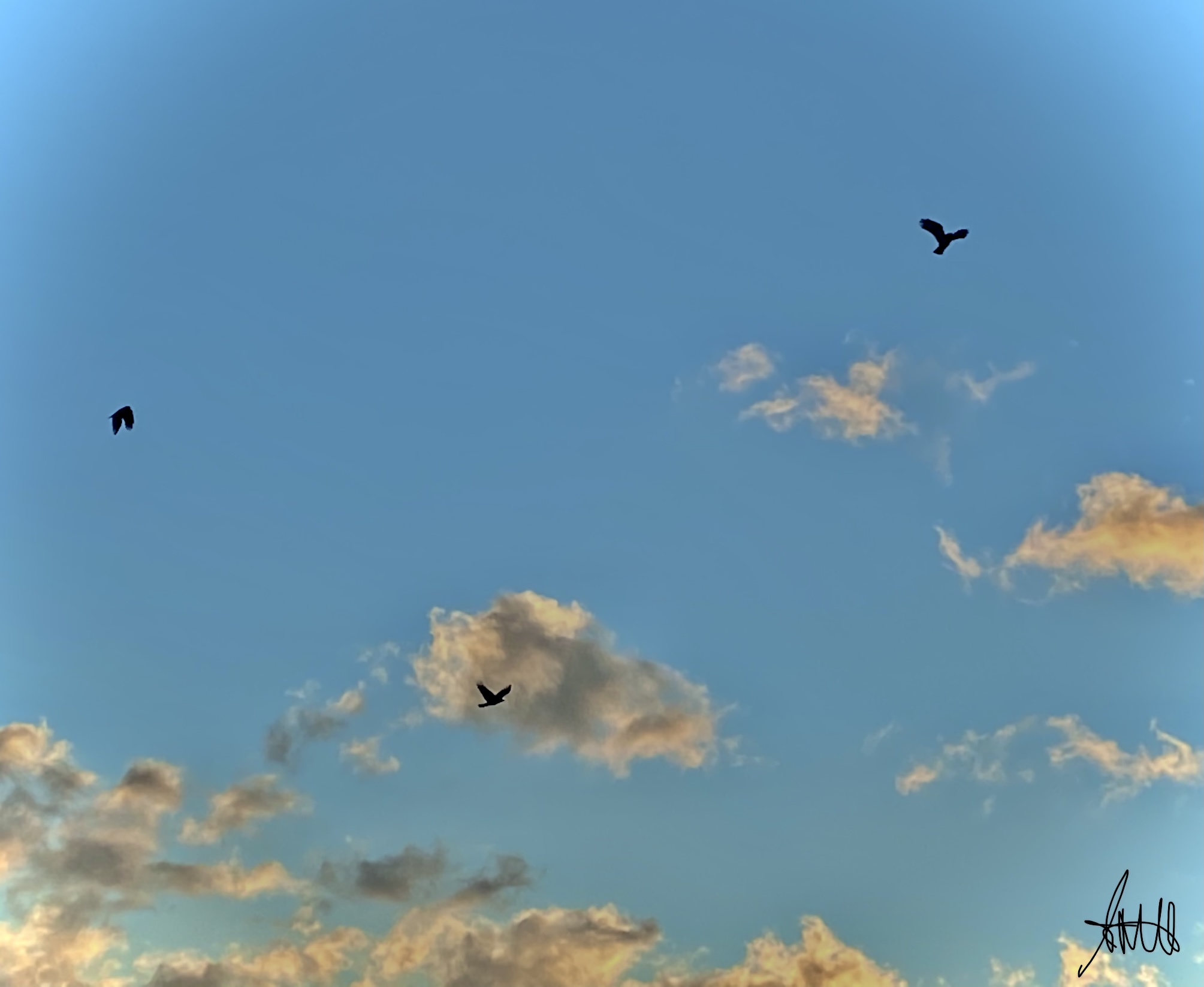 Ashley And Michelle Artistry