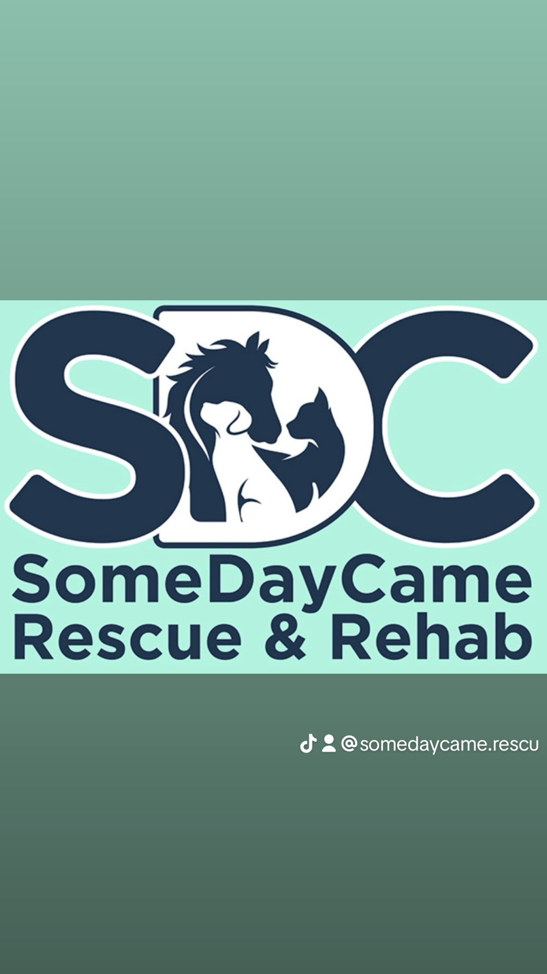 Somedaycame Rescue And Rehab