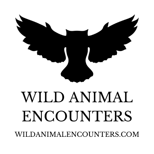 Wild Animal Encounters, Inc