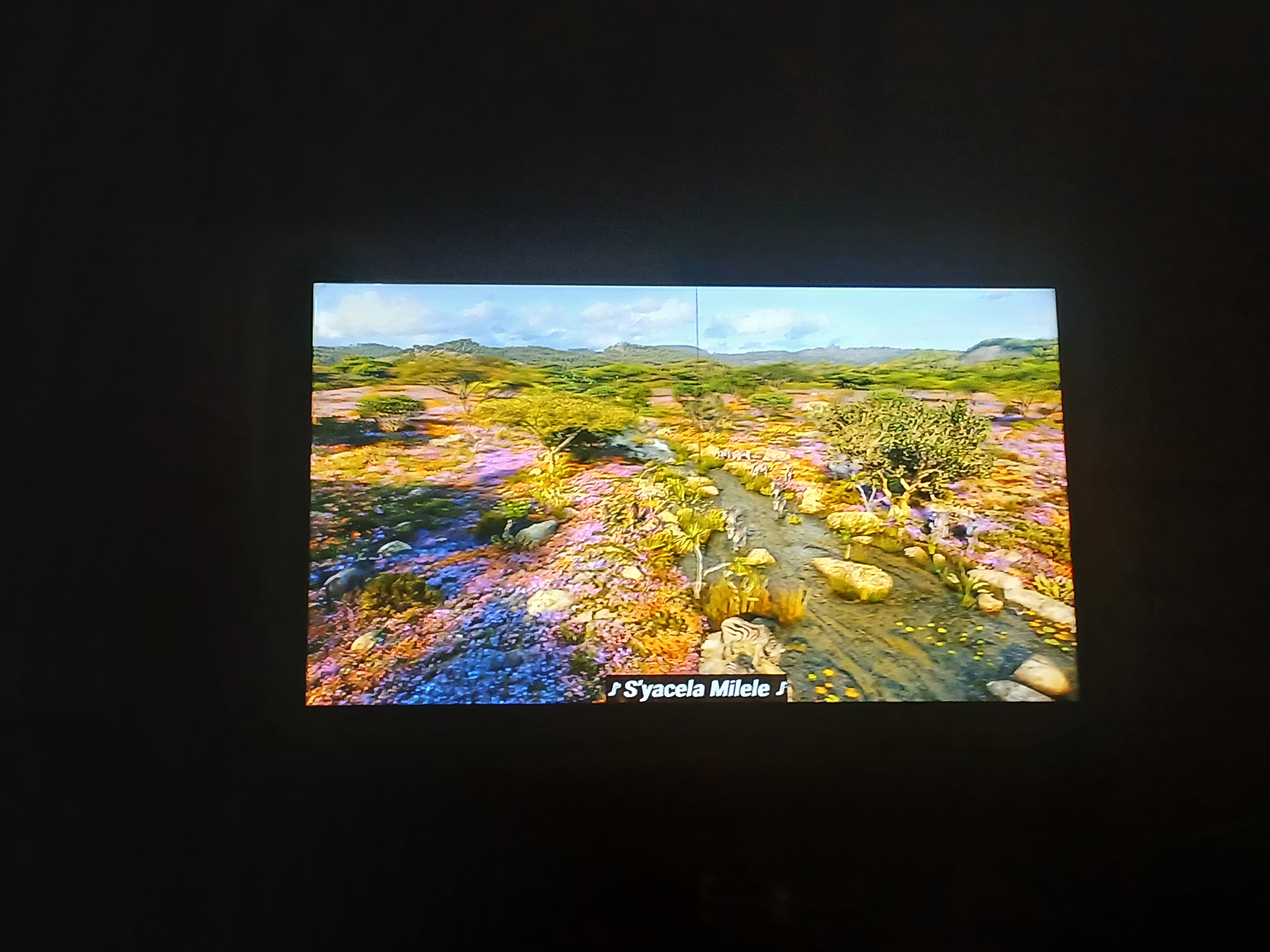 Perspective Infusion Consulting LLC 