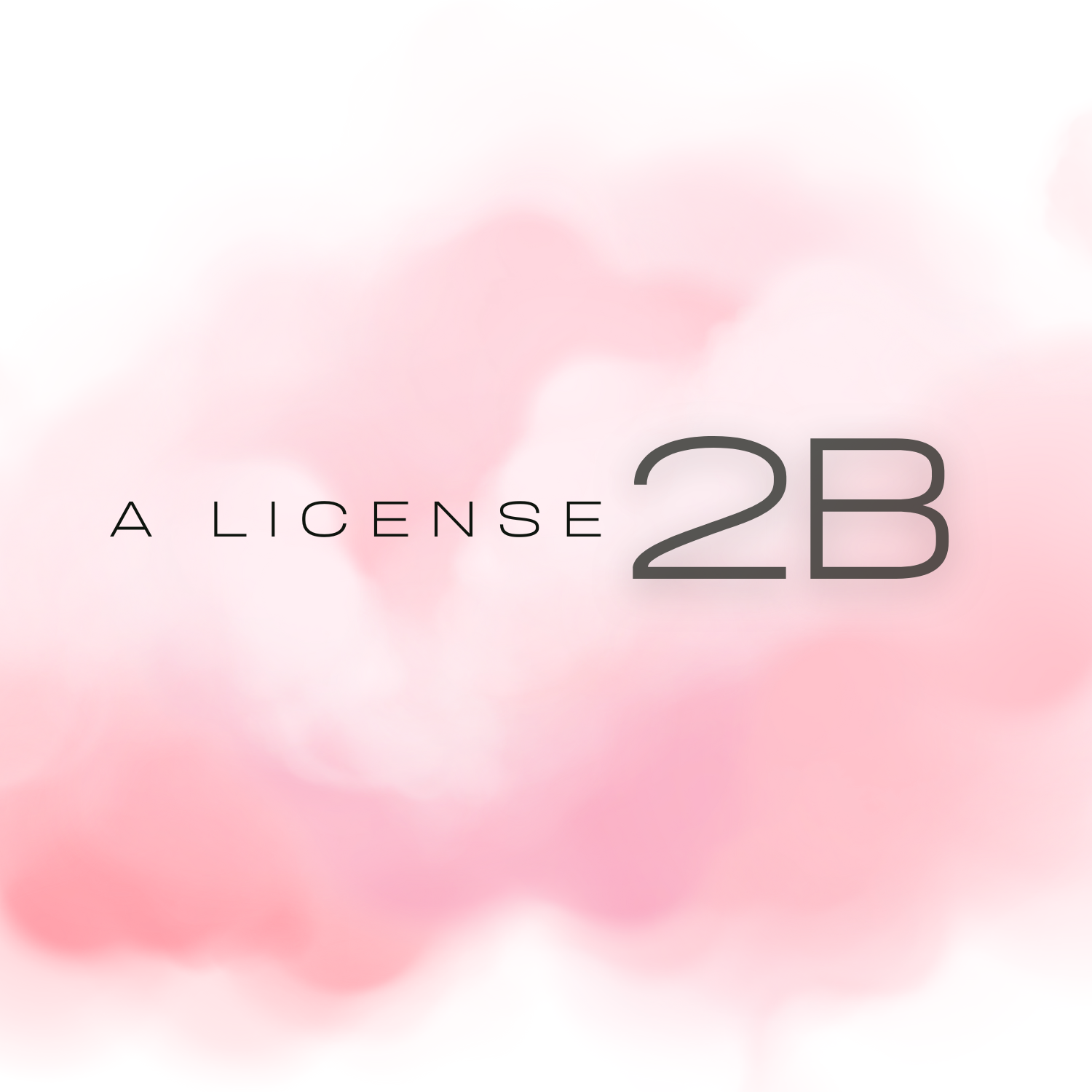 A License 2B