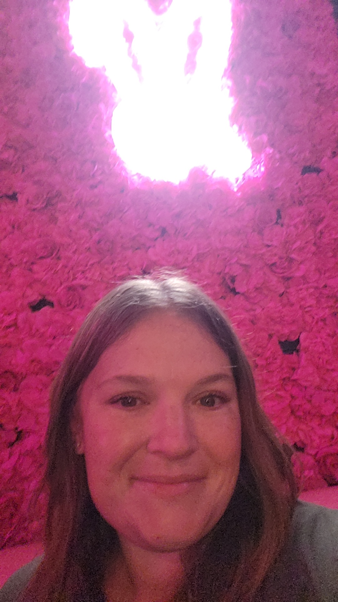 Emily Gibson Photography LLC