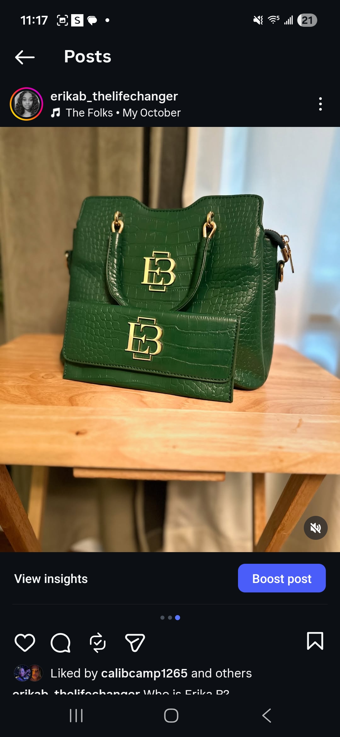 The Erika Beexperience